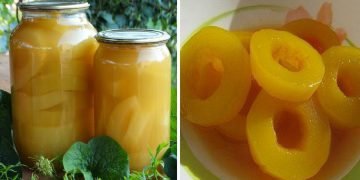 фальшивые ананасы