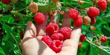 апрельские растения