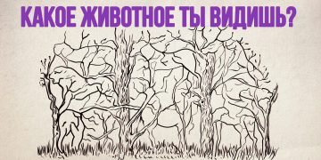 Ассоциативные тесты