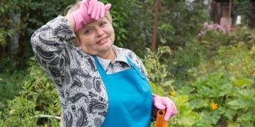 без огородов