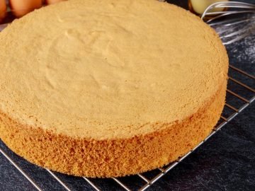 бисквит с крахмалом