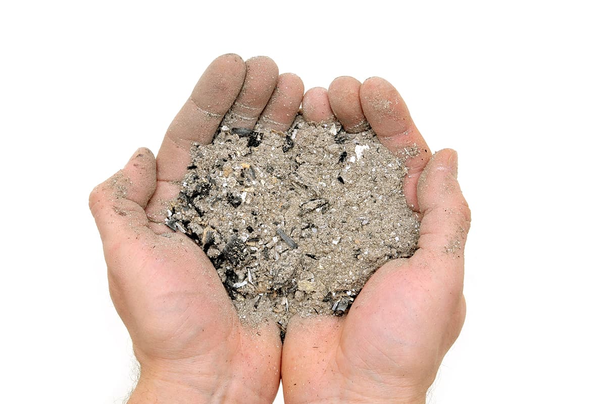 помидоры фитофтора в грунте