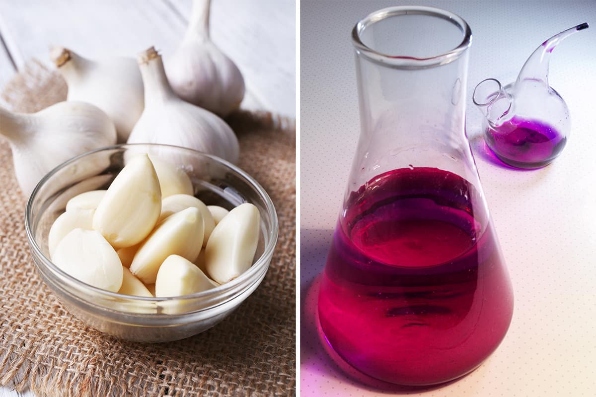 народные средства от фитофторы