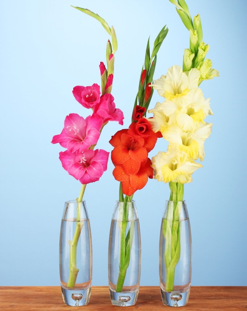 букет на столе в гостиной