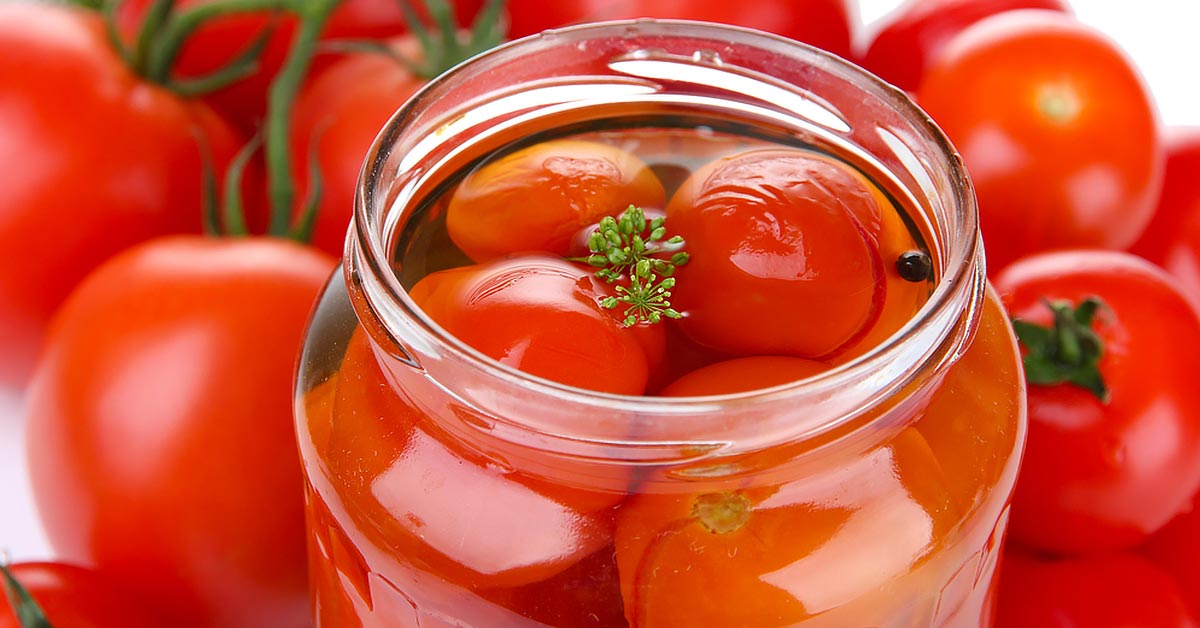 быстрые квашеные помидоры