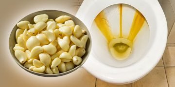 чистый унитаз