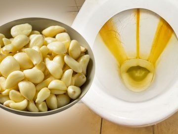 чистый унитаз