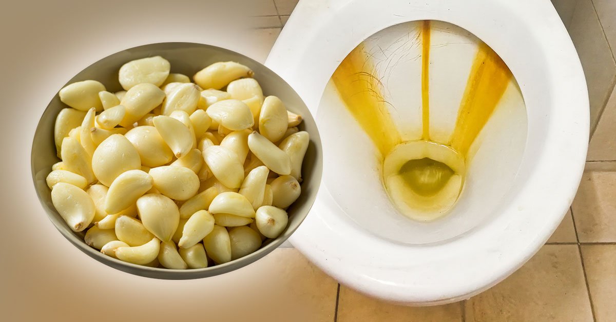 чистый унитаз