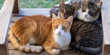 что о тебе думают люди