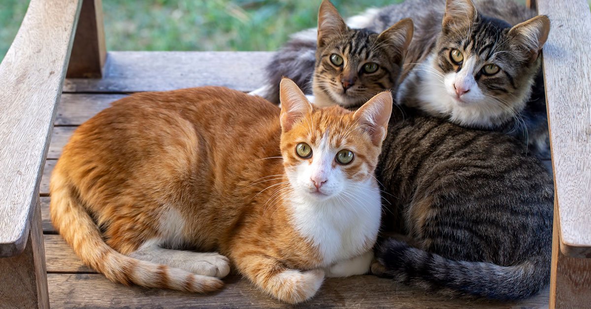 что о тебе думают люди