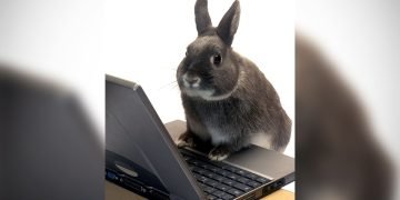 денежный гороскоп