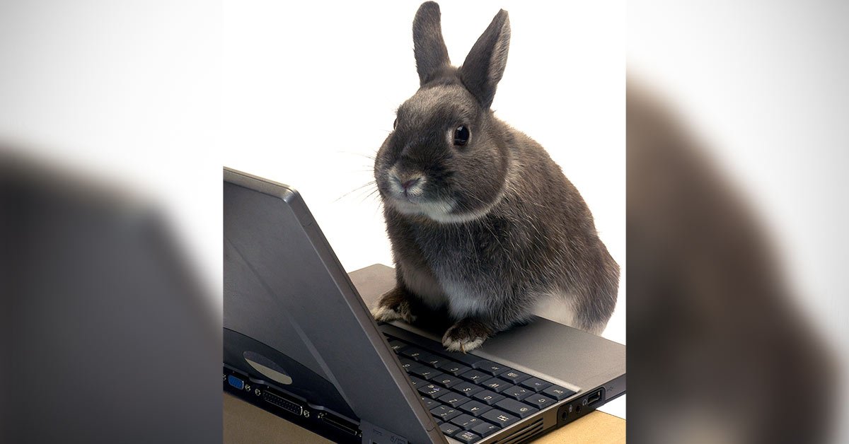 денежный гороскоп