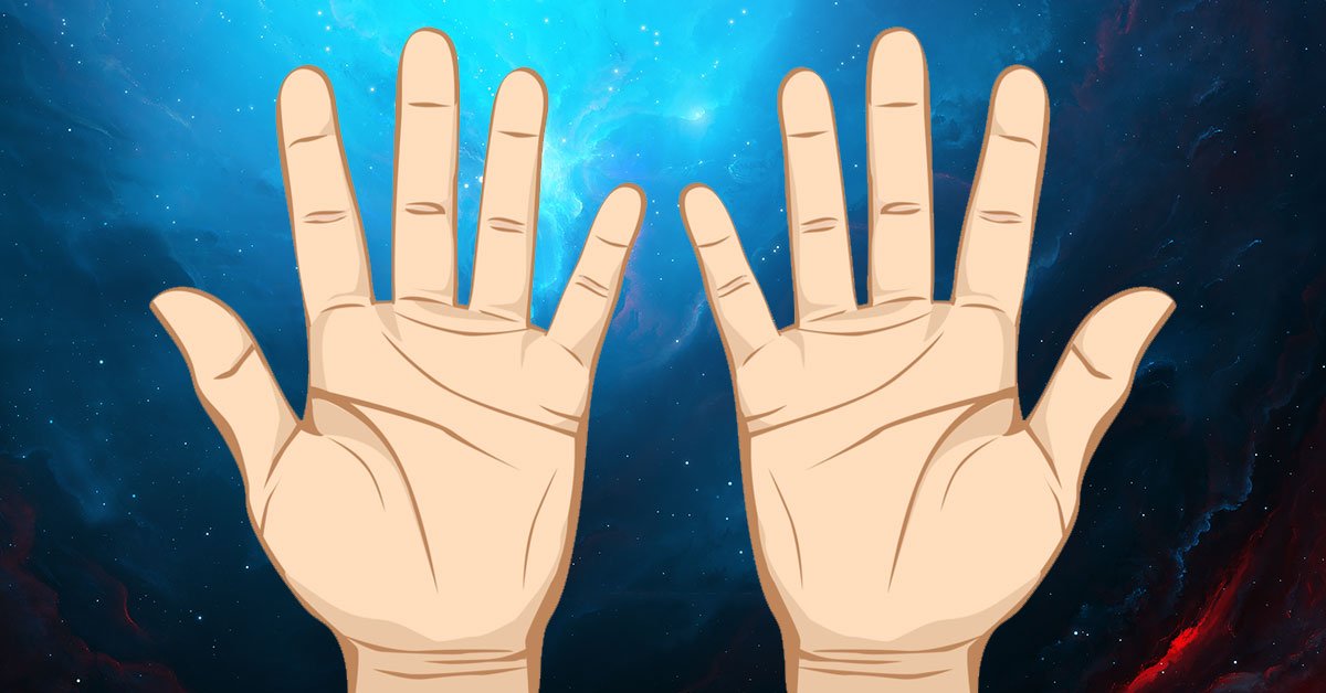 длина мизинца