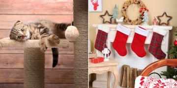 Домашние хлопоты