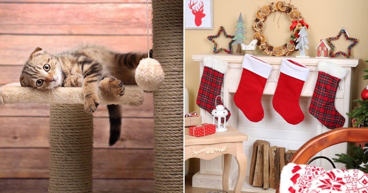 Домашние хлопоты