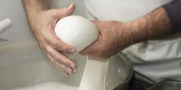 Домашняя моцарелла