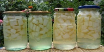 Дыня на зиму в банка