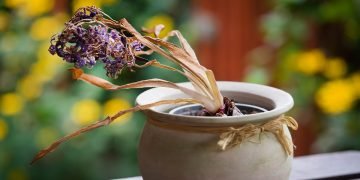 Энергетика дома