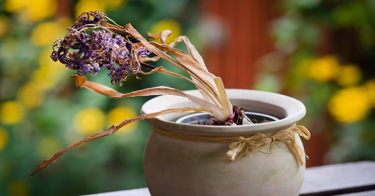 Энергетика дома