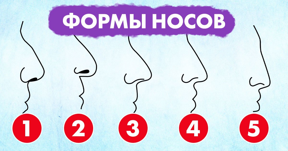 Формы носа. Форма носа физиогномика. Физиогномика длинный нос. Форма носа и характер мужчины. Выбирай любимого по форме носа.