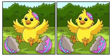 головоломка с цыпленком