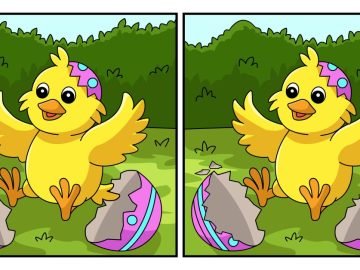 головоломка с цыпленком