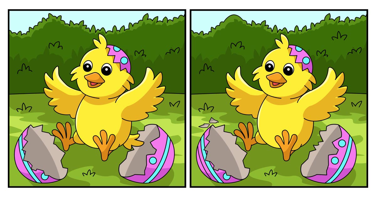 головоломка с цыпленком