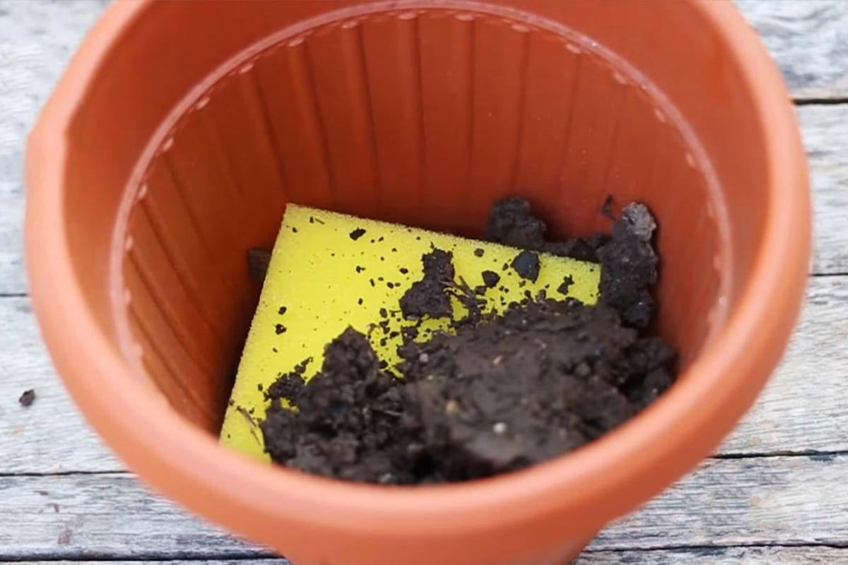 новые лайфхаки