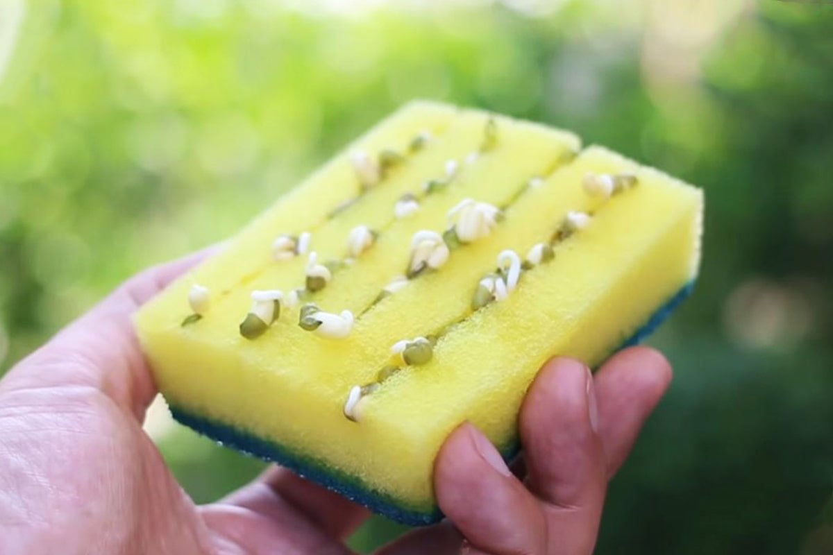 лайфхаки своими руками