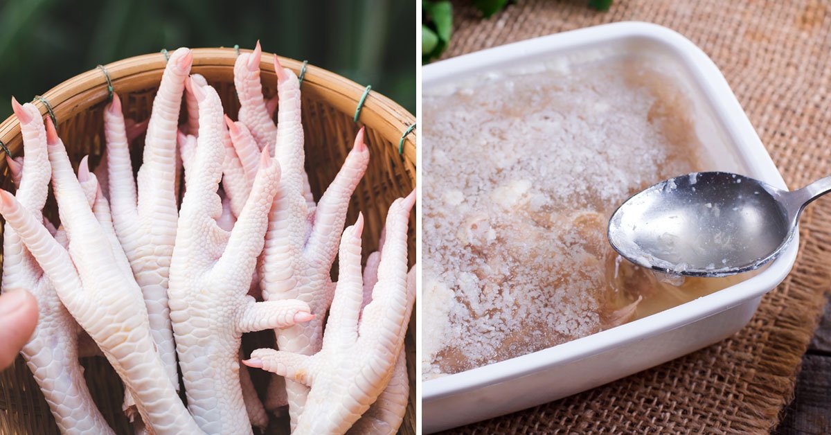 холодец из куриных лап