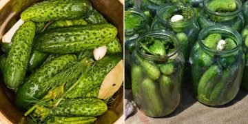 хрустящие огурцы