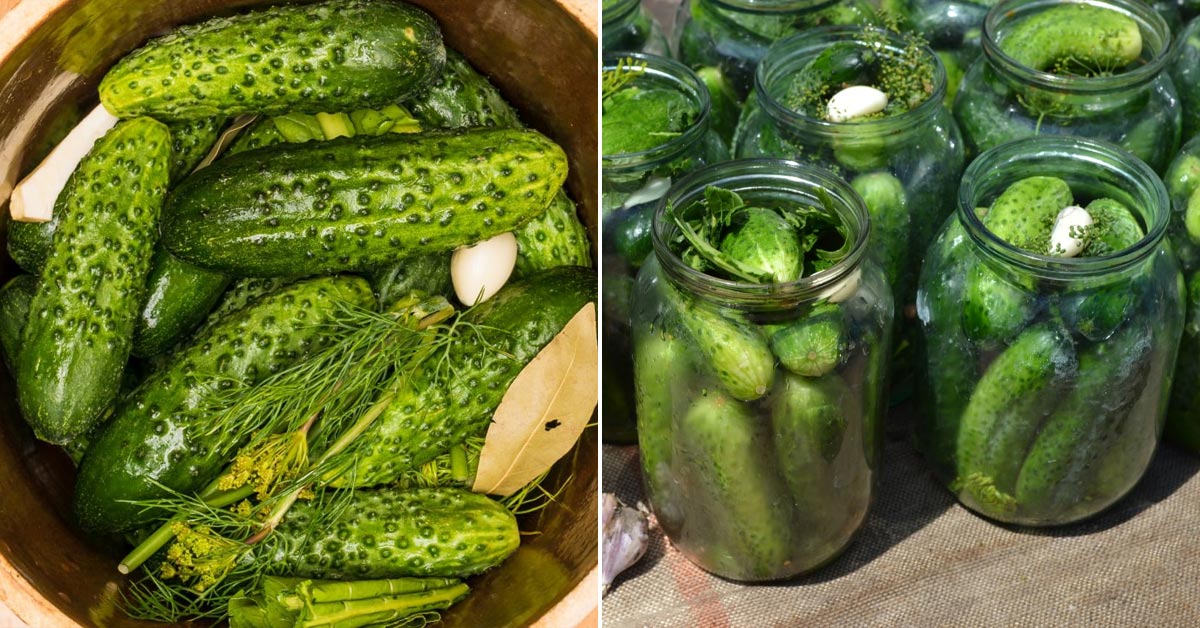 хрустящие огурцы