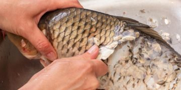 Как быстро почистить рыбу