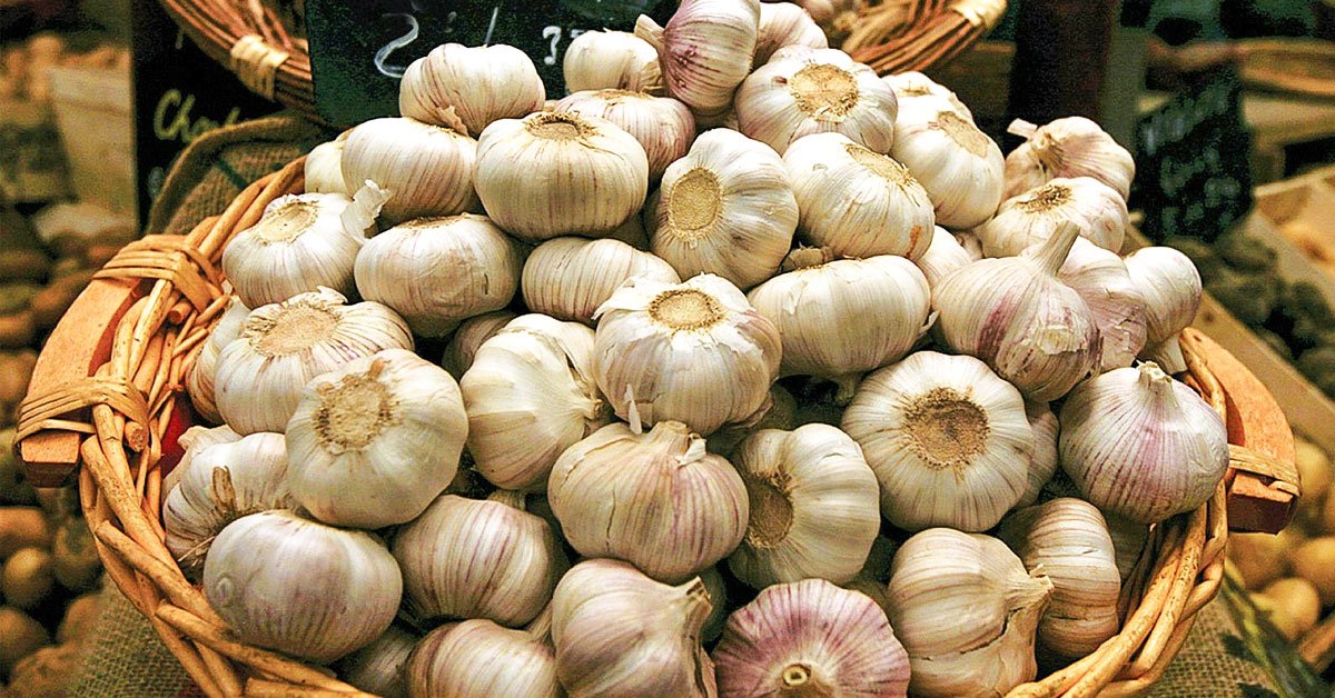 Как хранить чеснок
