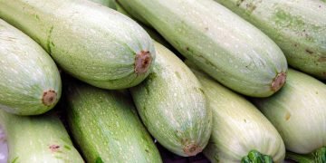 как хранить кабачки