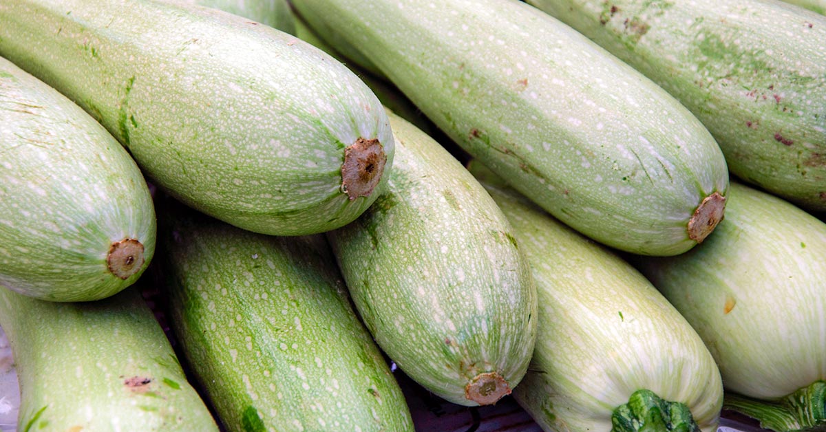 как хранить кабачки