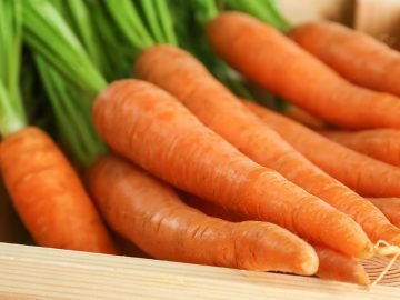 как хранить морковь