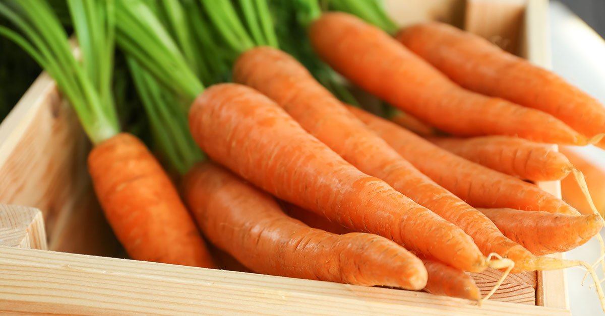 как хранить морковь
