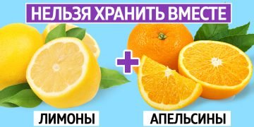 как хранить продукты