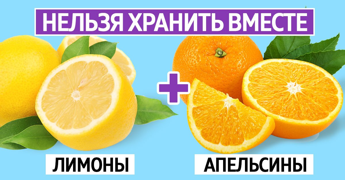 как хранить продукты