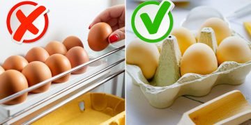 Как хранить яйца