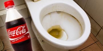 как отмыть унитаз