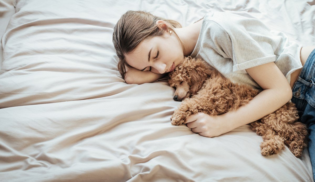 обнимать собаку во сне