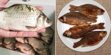 Как пожарить карася