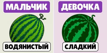 Как правильно выбрать спелый арбуз