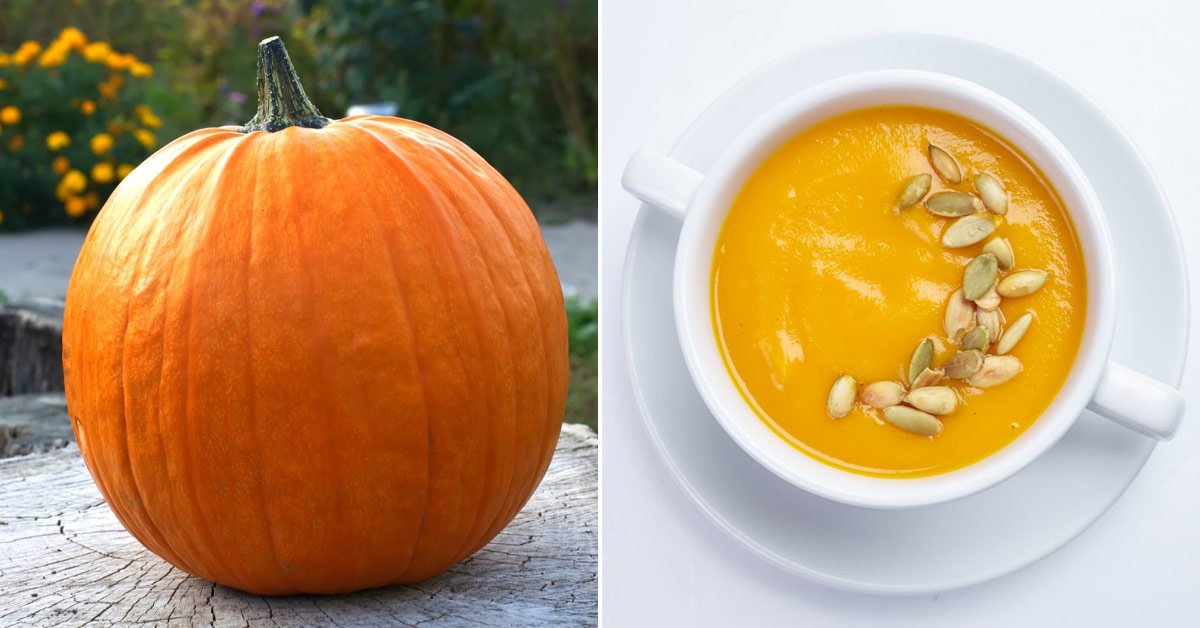 Как приготовить суп-пюре из тыквы