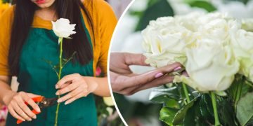 как ухаживать за букетом роз