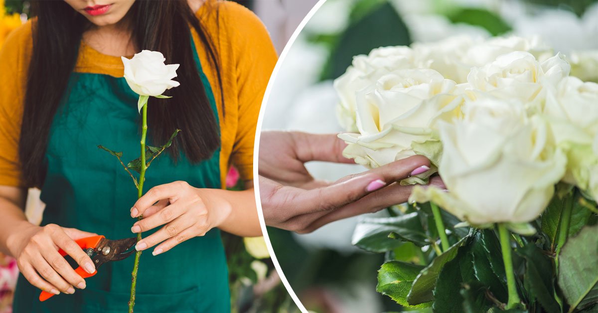 как ухаживать за букетом роз