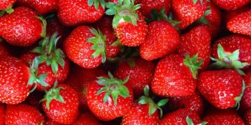 Как выбрать клубнику