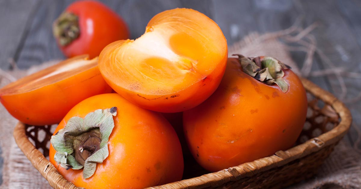 как вырастить хурму дома